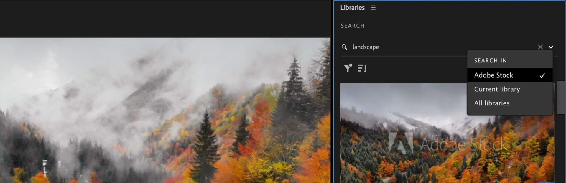 Adding assets from Adobe Stock from the Library panel