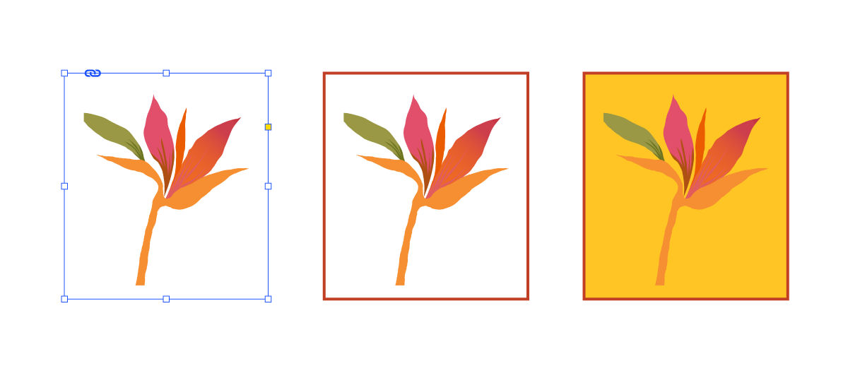 Een rand of achtergrond toevoegen aan een afbeeldingskader