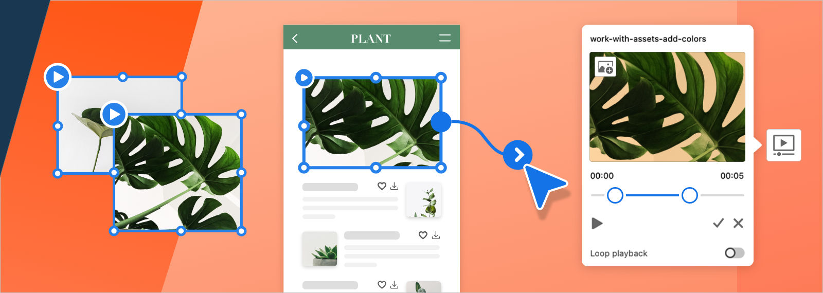 Import video, adjust settings, and set a playback option