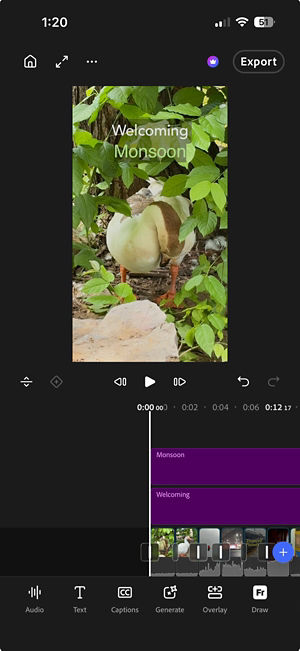 Editing workspace showing a video preview, timeline with multiple tracks, playback controls, and editing tools for Audio, Text, Captions, Generate, Overlay, and Draw.