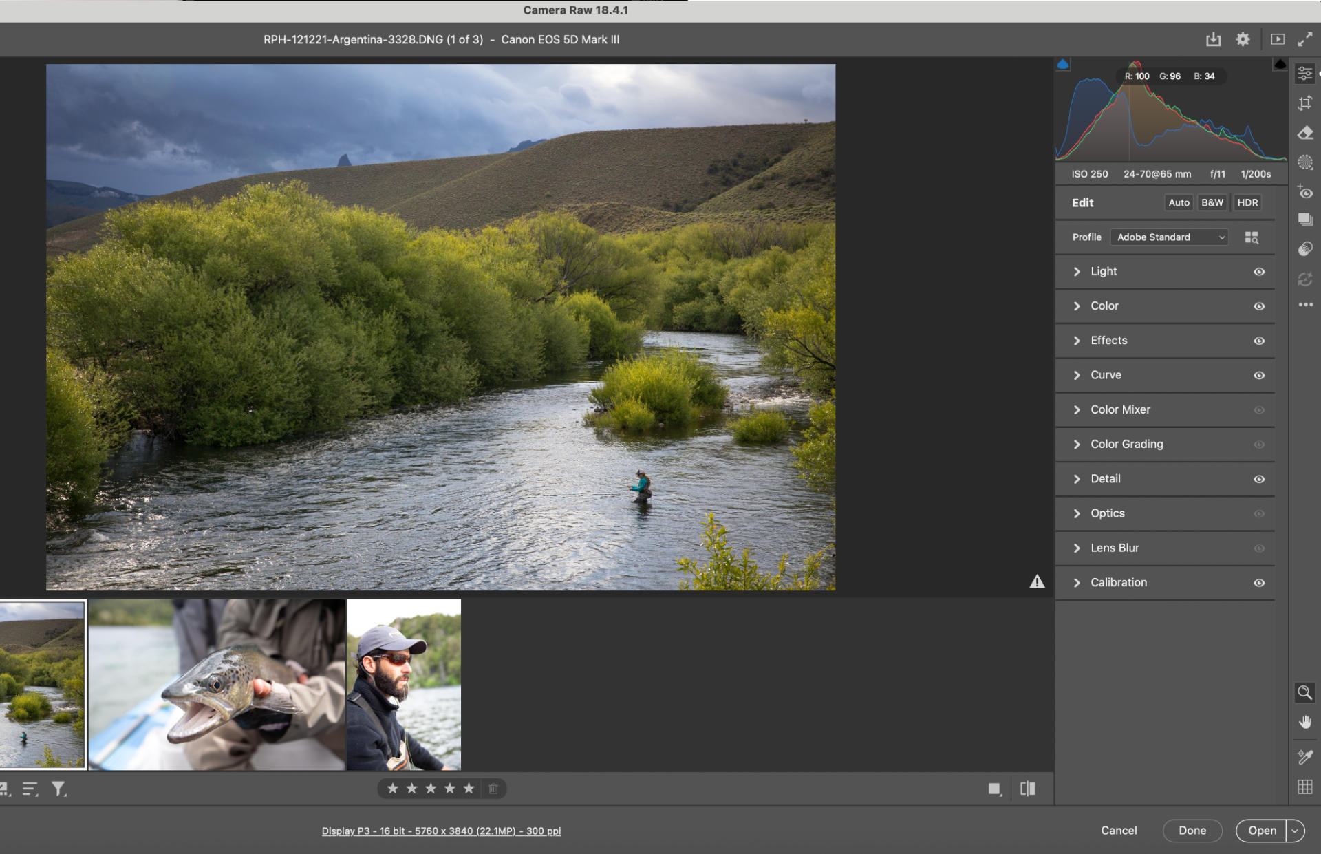Adobe Camera Raw workspace