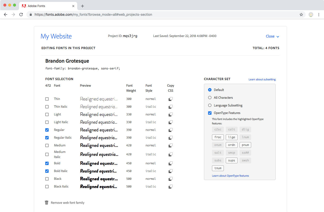 CSS information in the web project page