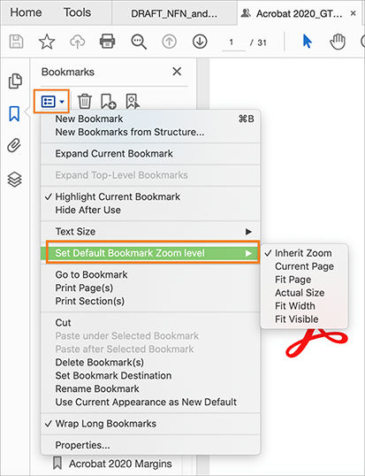 Set default bookmark zoom level