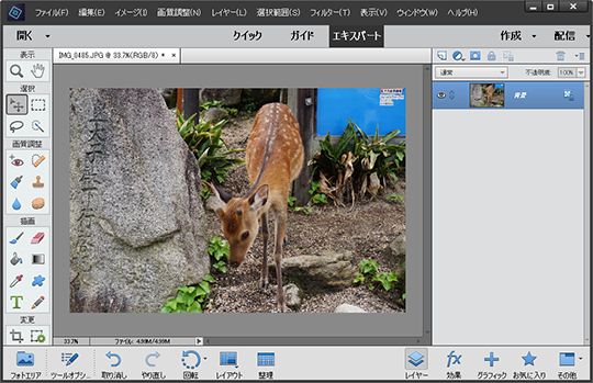 Adobe Photoshop Elements2020 学生&amp;教職員個人版 Amazon.co.jp: アドビ PSE & PE 2024(J) MLP S&T : PCソフト