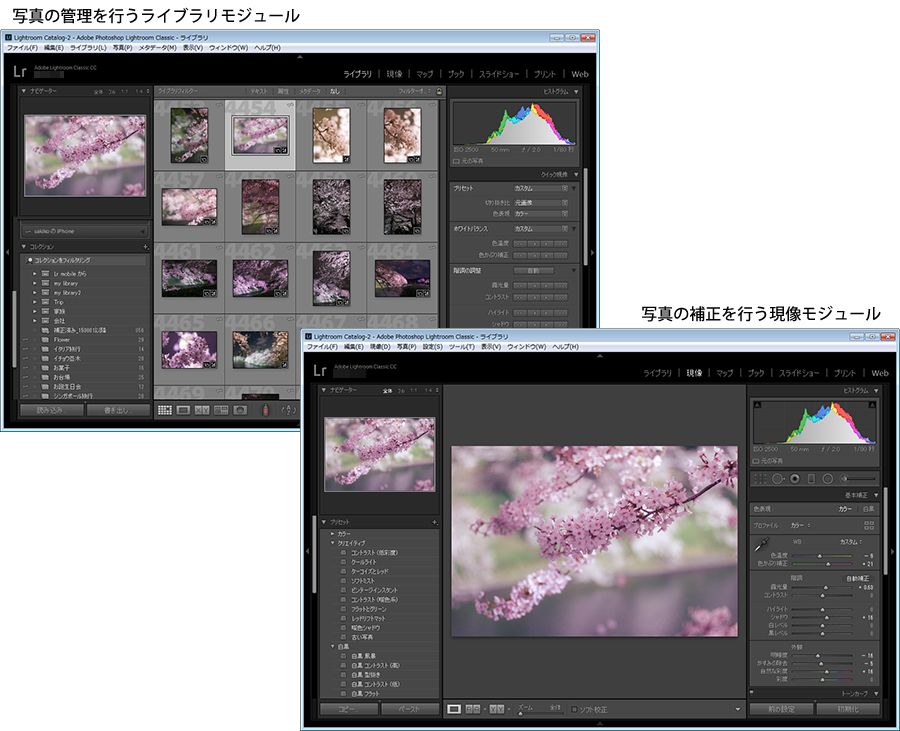 週末値下♬Adobe Photoshop Lightroom5 乗換え特別提供版 - www.lendstream.io