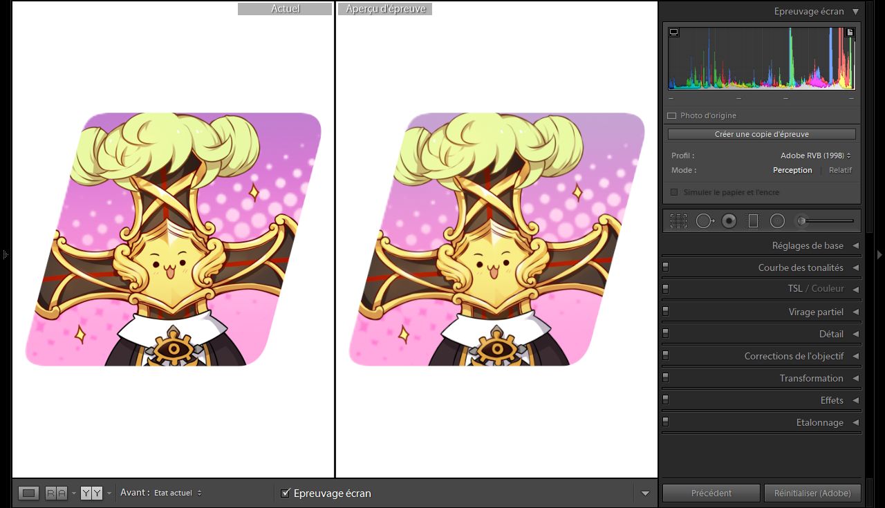 Vérification à l’écran