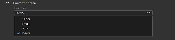 Wybierz format obrazu spełniający Twoje wymagania.