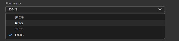 Selezionate il formato immagine che desiderate utilizzare.