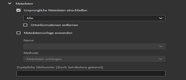 Erkunde verschiedene Optionen für Metadaten in Adobe Bridge. 