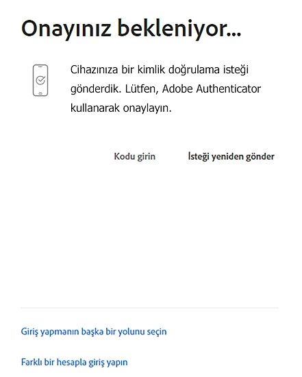 Girişi onaylama