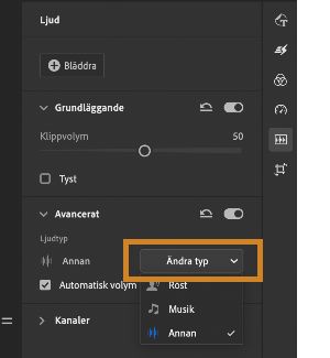 Klassificera det valda ljudklippet