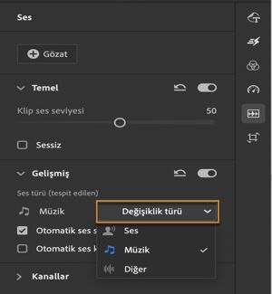Seçili ses klibini sınıflandırma