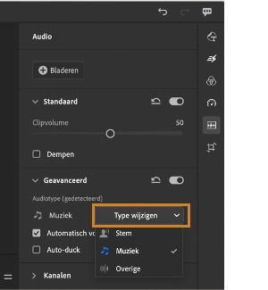 De geselecteerde audioclip classificeren