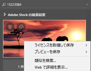 目的の Stock アセットを購入するか、透かし入りのプレビュー版を使用