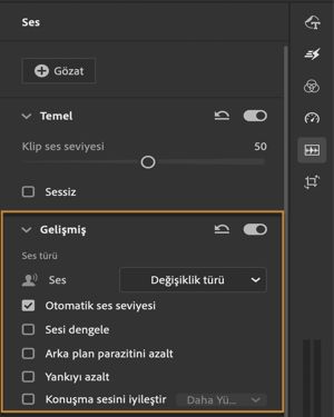 Ses klibini ayarlama seçenekleri