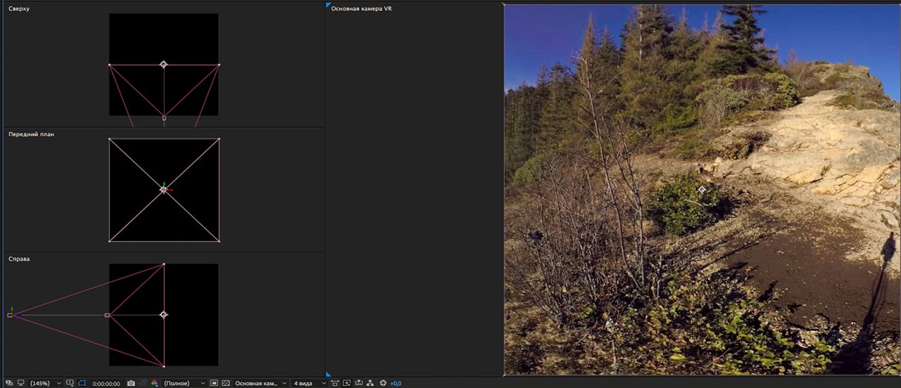 Поле обзора с разными представлениями