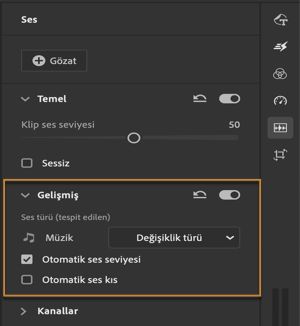Müzik klibini ayarlama seçenekleri