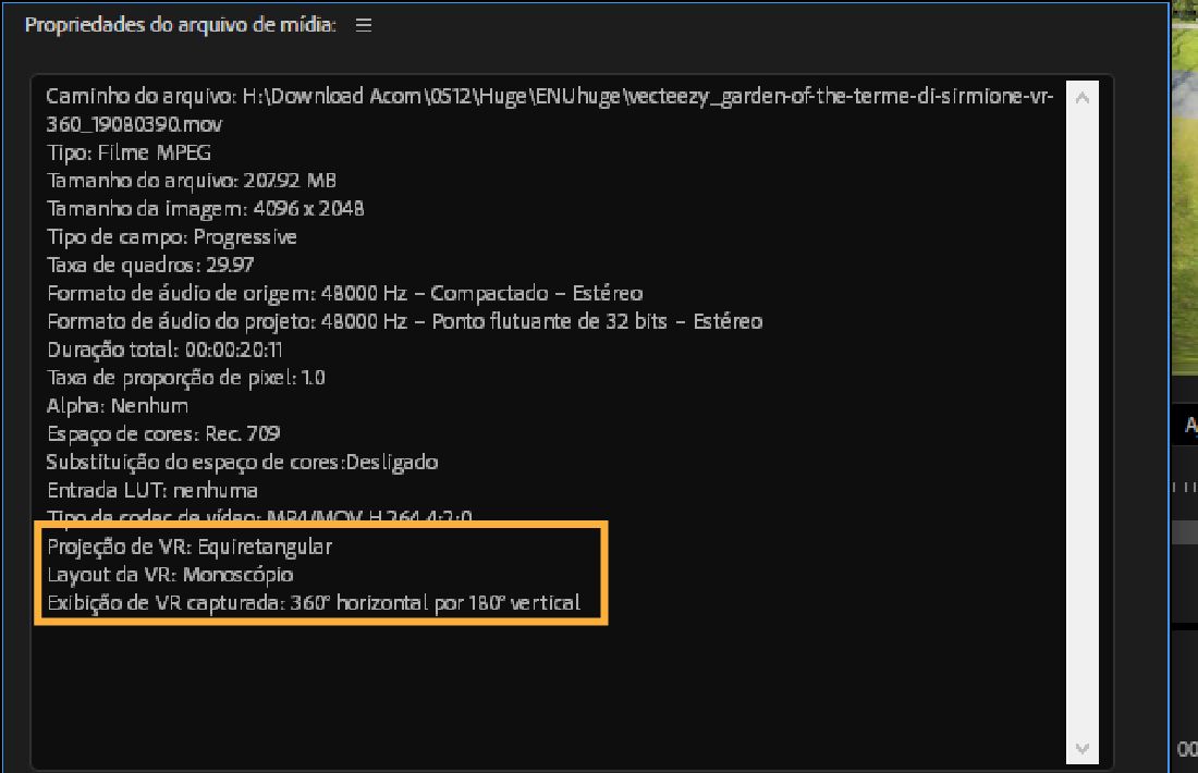 Uma caixa de diálogo está aberta e exibe as propriedades de RV do clipe selecionado.As propriedades de RV incluem tipo de arquivo, tamanho, taxa de quadros, espaço de cor e muito mais.