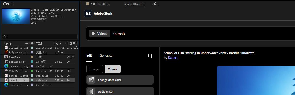 下载的 Adobe Stock 图像会作为一个新条目显示在 After Effects 的“项目”面板中。