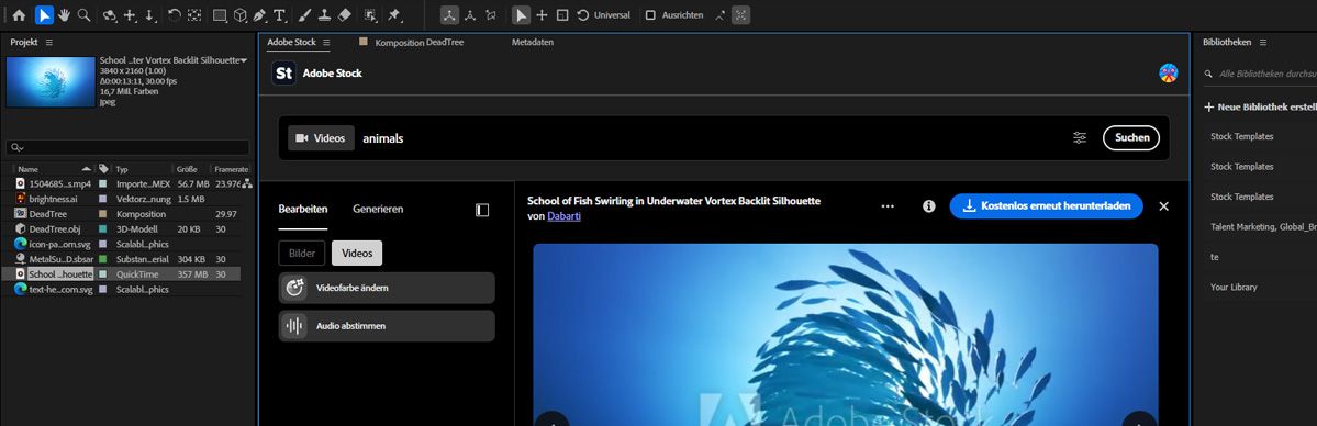 Ein heruntergeladenes Adobe Stock-Bild erscheint als neues Element im Projekt-Bedienfeld in After Effects.