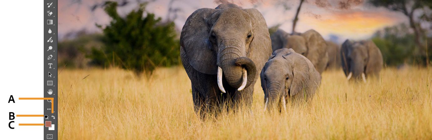 Sekelompok gajah di lapangan dengan keterangan alat Photoshop untuk mengatur warna latar depan dan latar belakang, menukar warna dan pengaturan warna default.