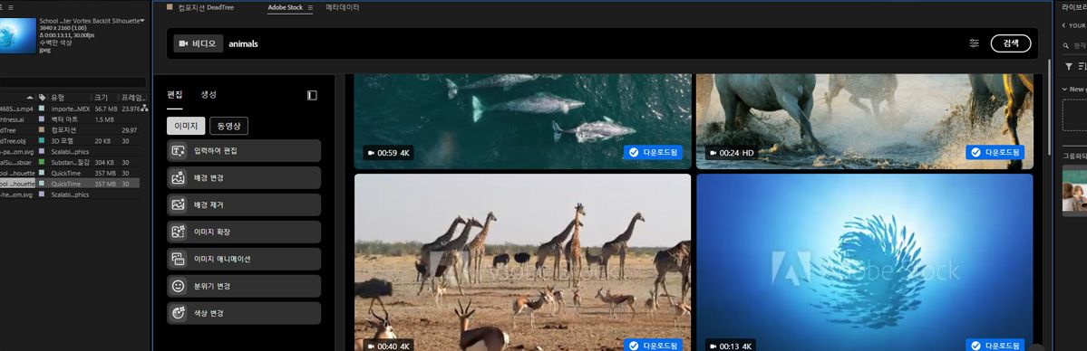 Adobe Stock 패널에서 키워드 검색을 하면 일치하는 이미지와 영상의 썸네일 미리보기가 표시됩니다.