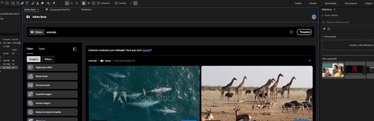 Uma pesquisa por palavra-chave no painel Adobe Stock exibe miniaturas de visualização de imagens e vídeos correspondentes.