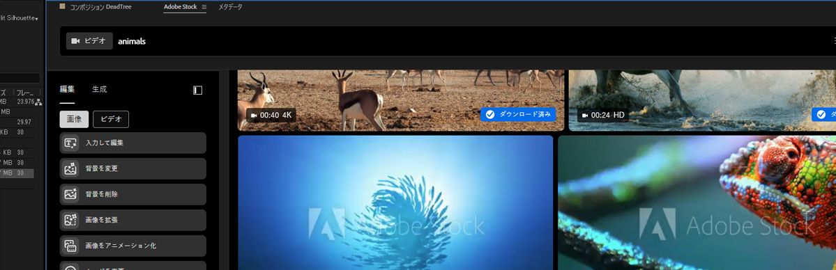 Adobe Stock パネルでキーワード検索を行うと、一致する画像とビデオのサムネイル プレビューが表示されます。