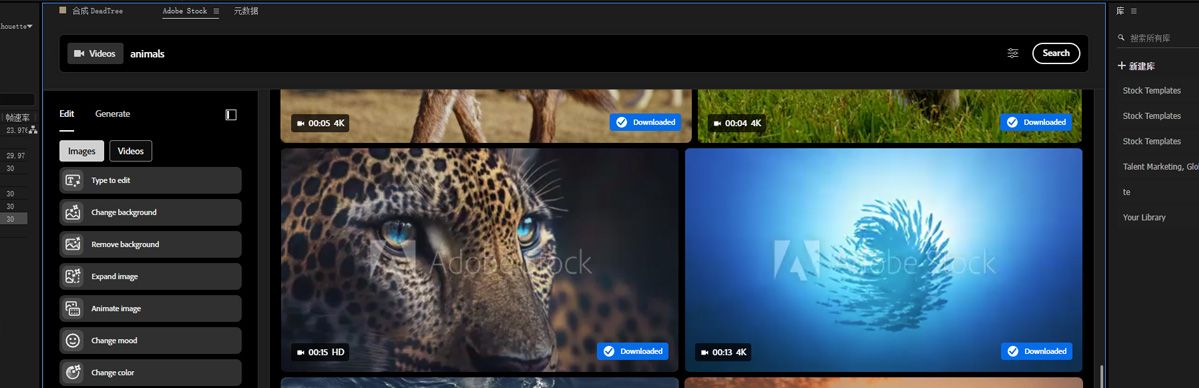 在 Adobe Stock 面板中进行关键词搜索会显示匹配图像和视频的缩略图预览。