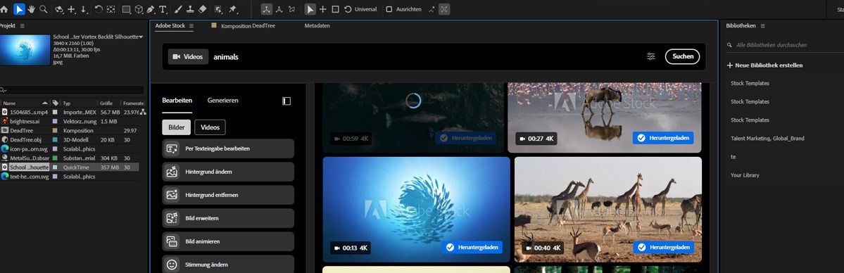 Eine Keyword-Suche im Adobe Stock-Bedienfeld zeigt Miniaturansichten passender Bilder und Videos.