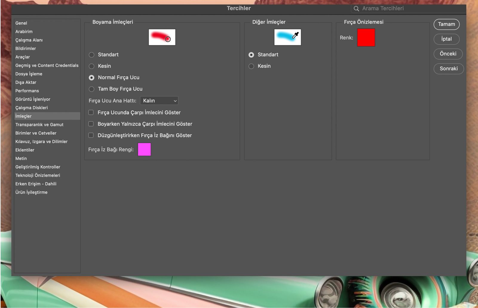 Tercihler panelindeki İmleç seçeneklerini gösteren örnek bir belge.