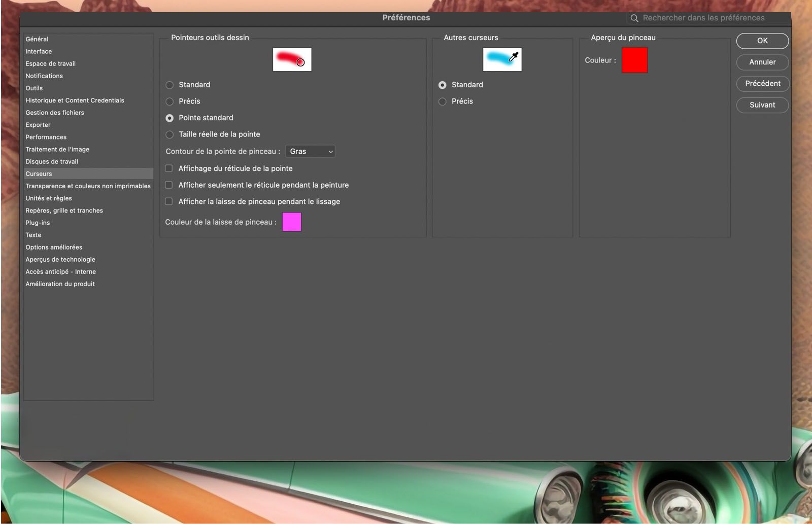 Un document type montrant les options de Curseur dans le panneau Préférences.