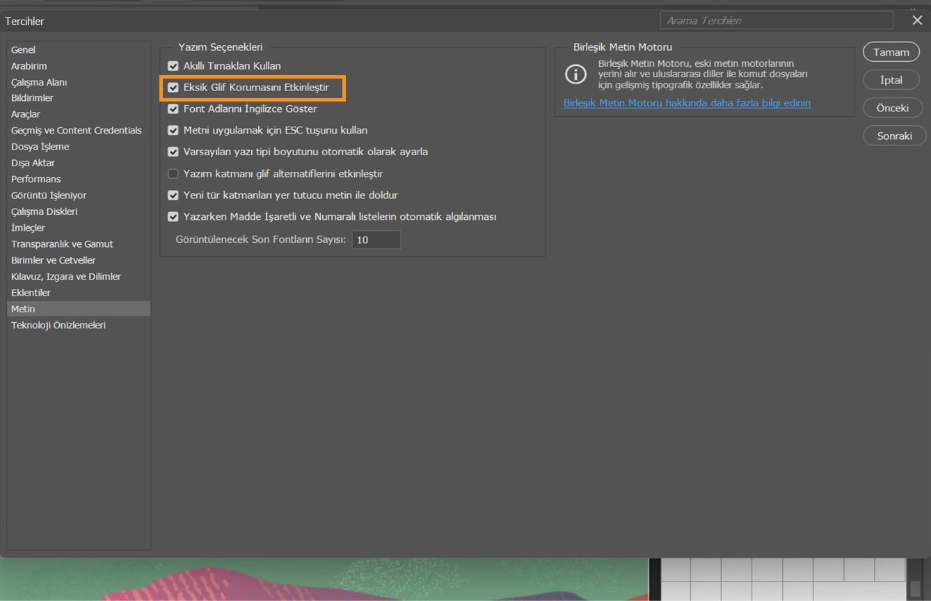 Tercihler panelinin açık, Eksik Glif Korumasını Etkinleştir seçeneğinin vurgulu ve işaretli olduğu örnek belge.