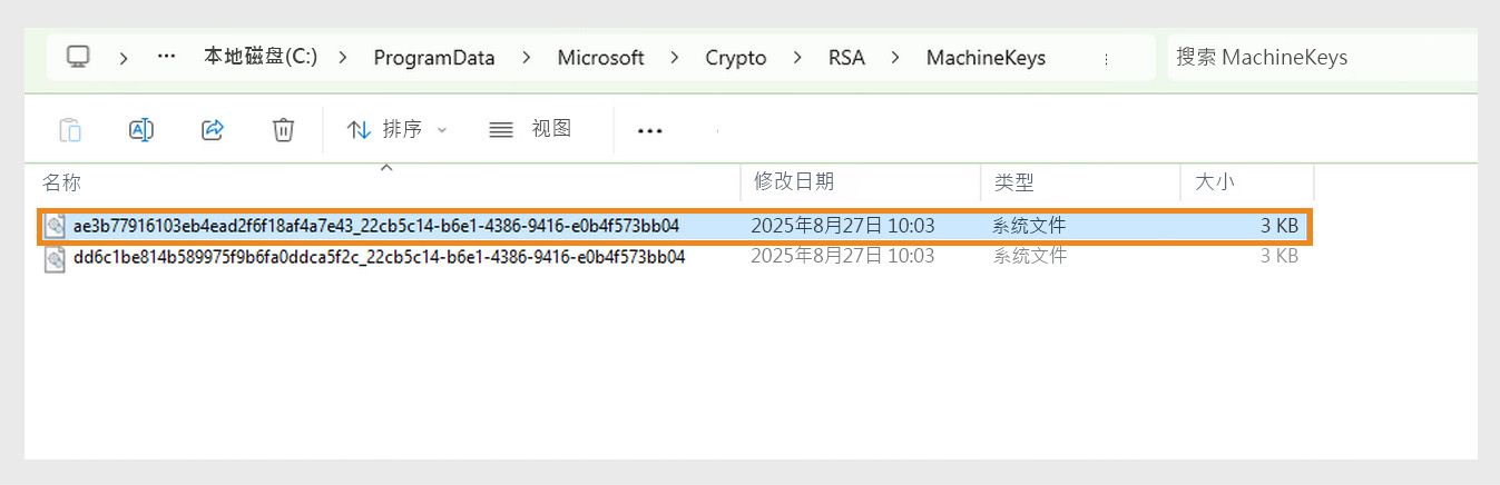 显示 Windows 目录的屏幕截图，用于存储系统和各种应用程序出于安全目的而使用的加密密钥。