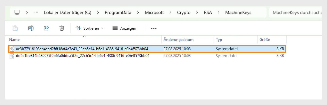 Ein Screenshot, der das Windows-Verzeichnis zur Speicherung kryptografischer Schlüssel anzeigt, die vom System und verschiedenen Anwendungen für Sicherheitszwecke verwendet werden.