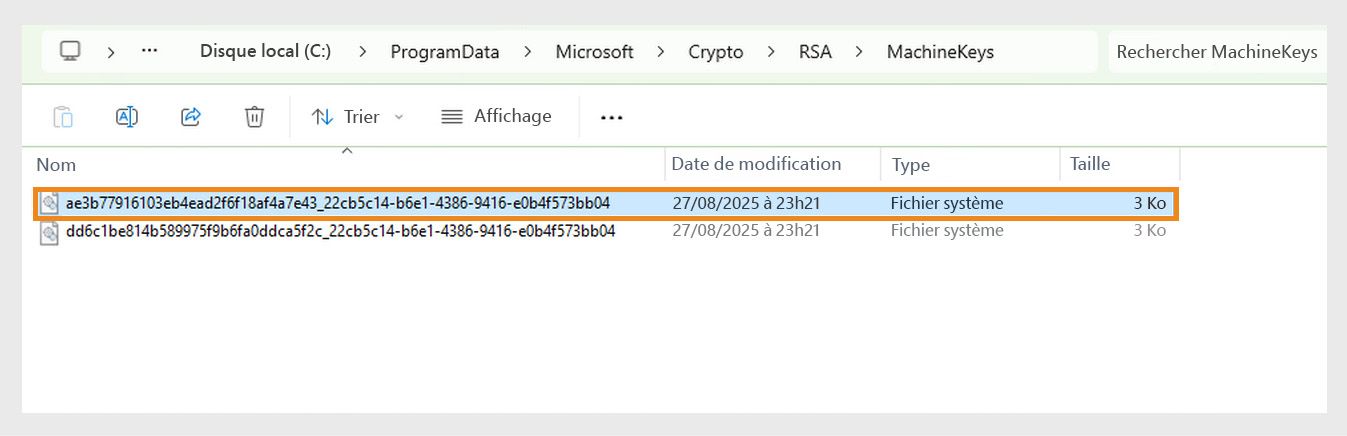 Une copie d'écran affichant le répertoire Windows destiné au stockage des clés cryptographiques utilisées par le système et diverses applications à des fins de sécurité.