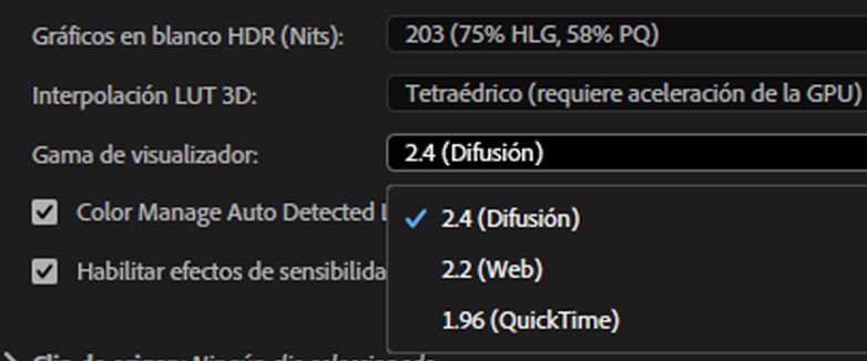 Opciones de gamma de visualizador en la sección Proyecto de la ficha Ajustes del panel Color de Lumetri