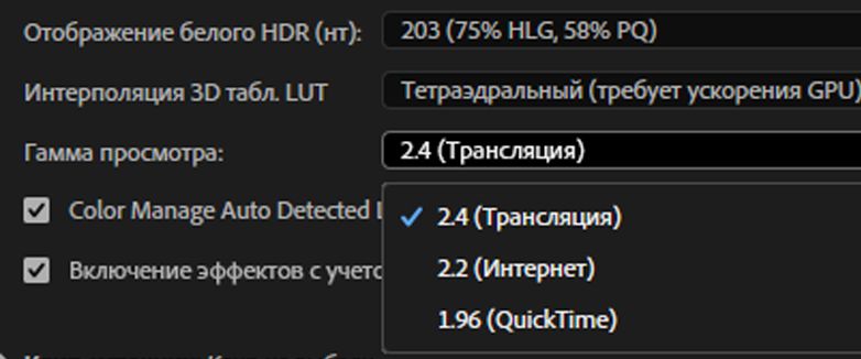 Параметры гаммы просмотра в разделе «Проект» вкладки «Настройки» панели «Цвет Lumetri»
