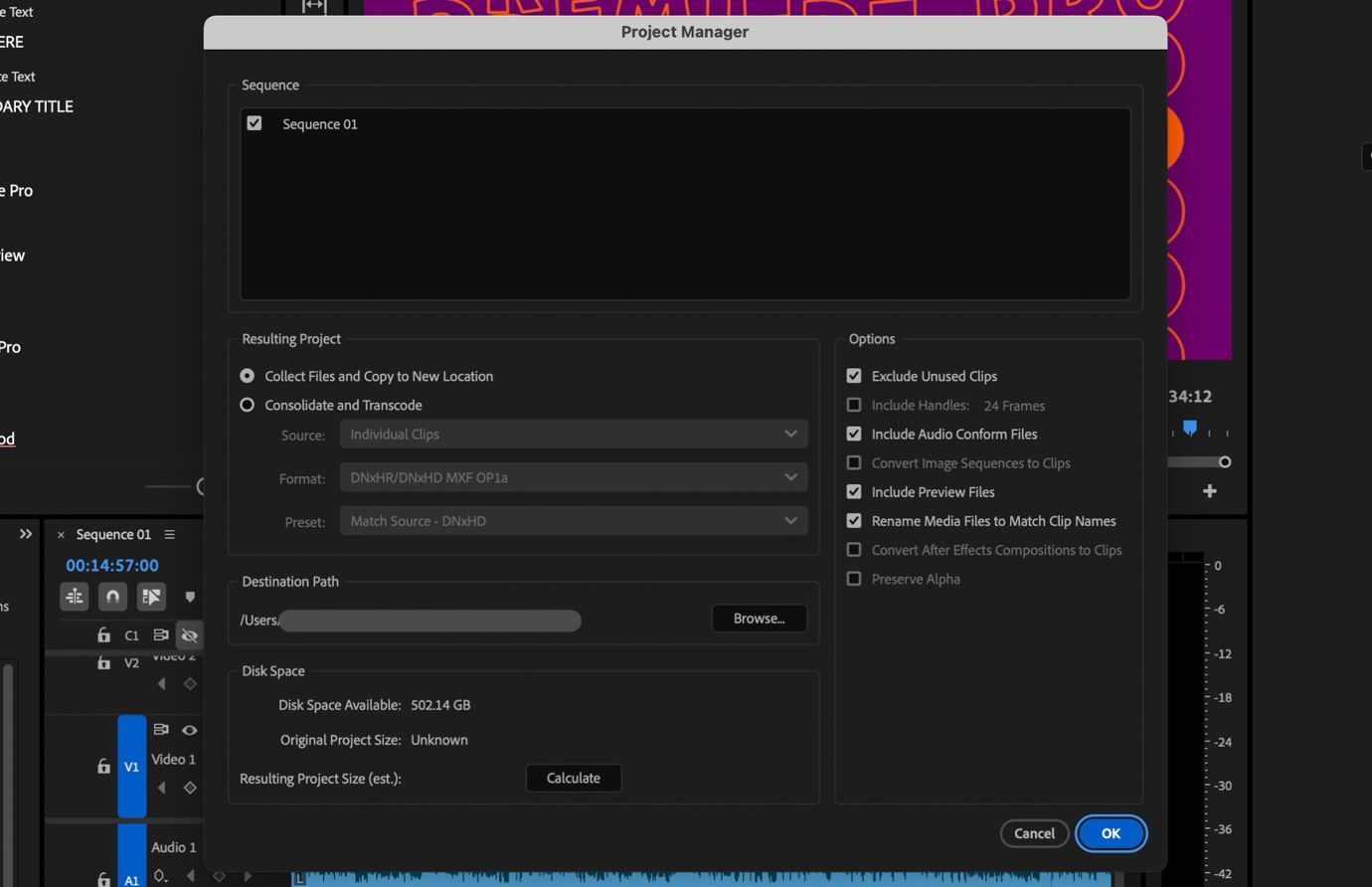 La finestra Project Manager è aperta e nella sezione Sequence ci sono caselle di controllo accanto alle sequenze che puoi impostare per includerle.