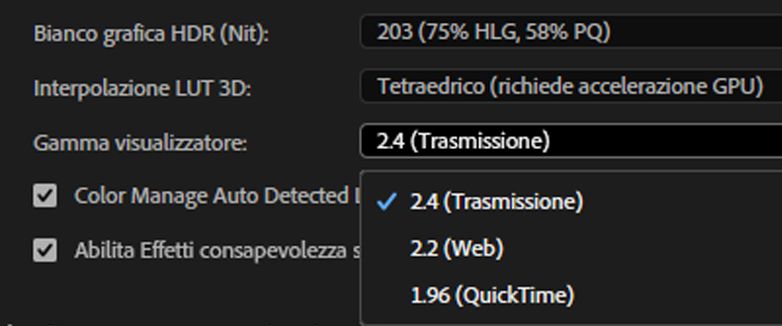 Opzioni gamma visualizzatore nella sezione Progetto della scheda Impostazioni del pannello Colore Lumetri