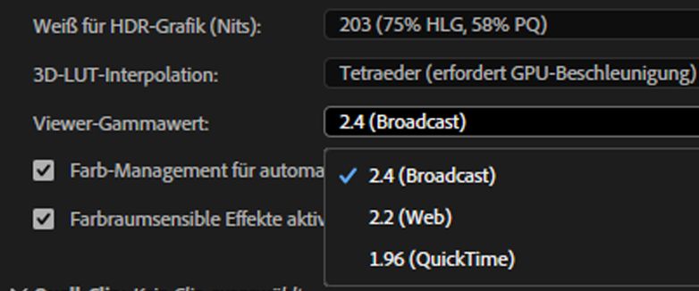 Gamma-Anzeigeoptionen im Abschnitt „Projekt“ der Registerkarte „Einstellungen“ des Bedienfelds „Lumetri-Farbe“