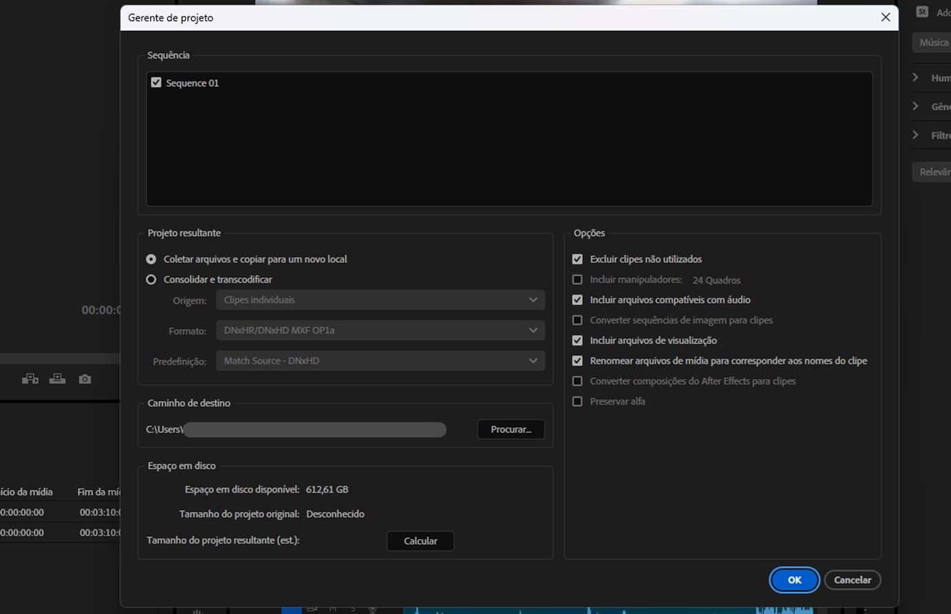 A janela do Gerenciador de Projetos está aberta e, na seção Sequência, há caixas de seleção ao lado das sequências que você pode definir para incluir.