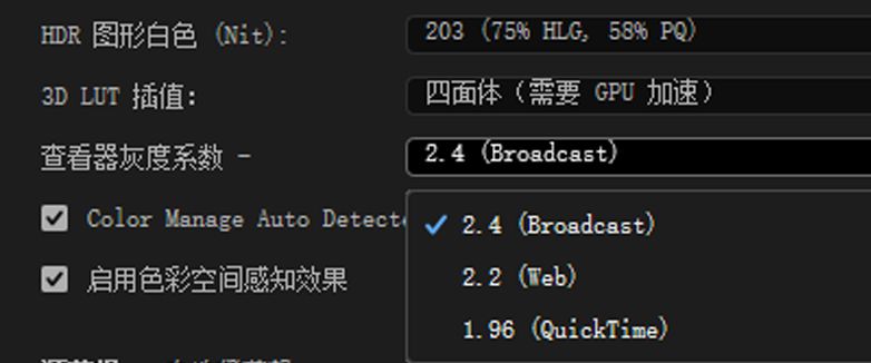 “Lumetri 颜色”面板的“设置”选项卡的“项目”部分中的“查看器灰度系数”选项