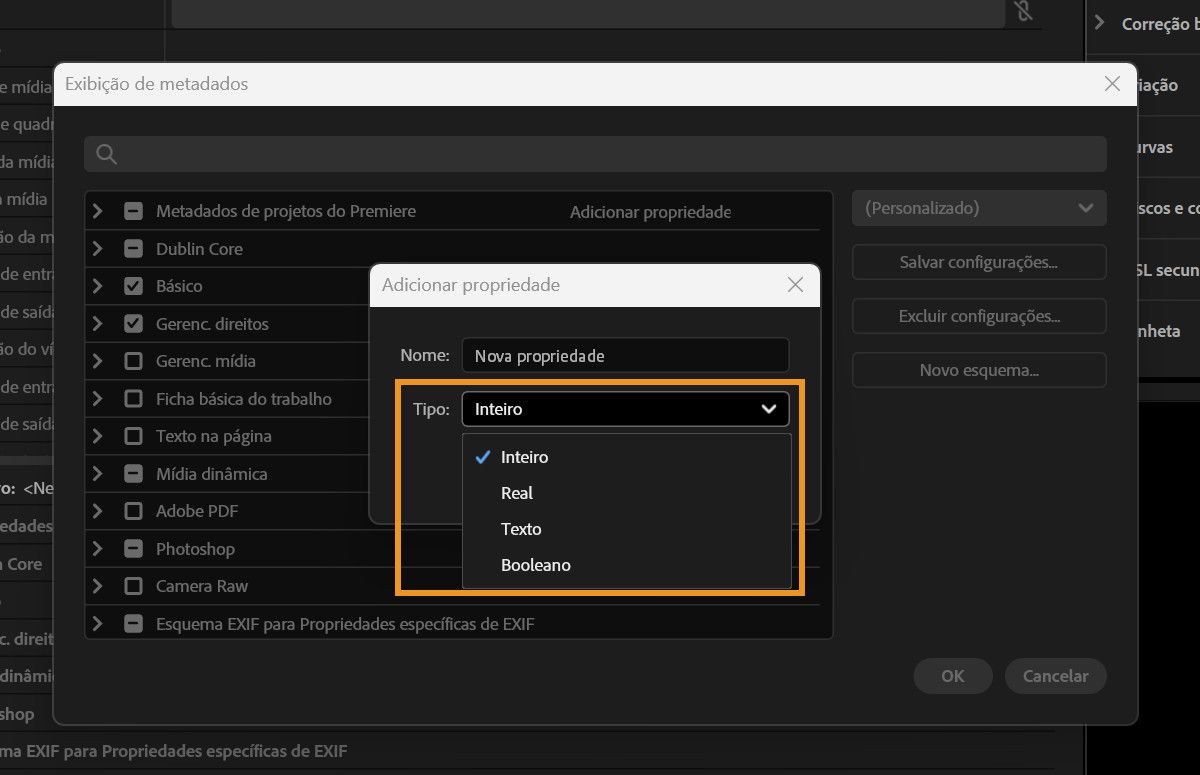 A caixa de diálogo Adicionar Propriedade está aberta mostrando o menu suspenso Tipo com as opções Inteiro, Real, Texto e Booleano.