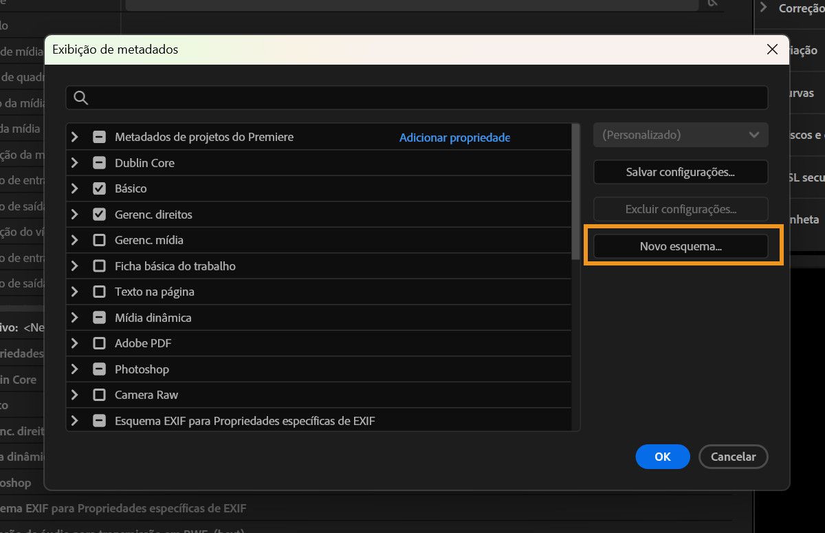Uma captura de tela de uma caixa de diálogo Exibição de Metadados em um computador, mostrando o botão Novo Esquema usado para criar um esquema de metadados personalizado.