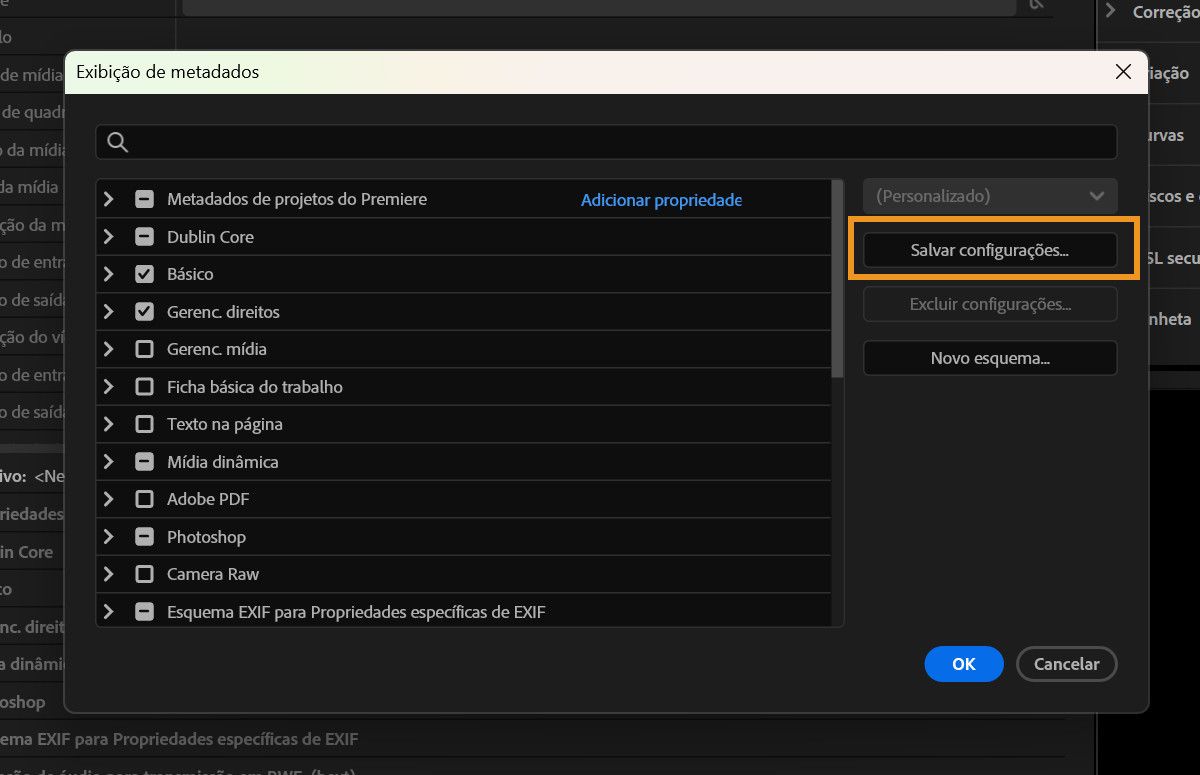 O diálogo Exibição de metadados mostra o botão Salvar configurações que pode ser usado para salvar um conjunto de metadados personalizado.