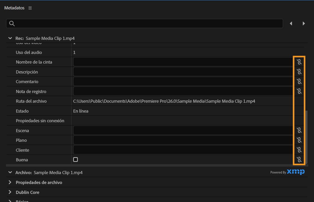 Panel de metadatos que muestra iconos de vínculo utilizados para conectar campos de datos de clips a metadatos XMP.