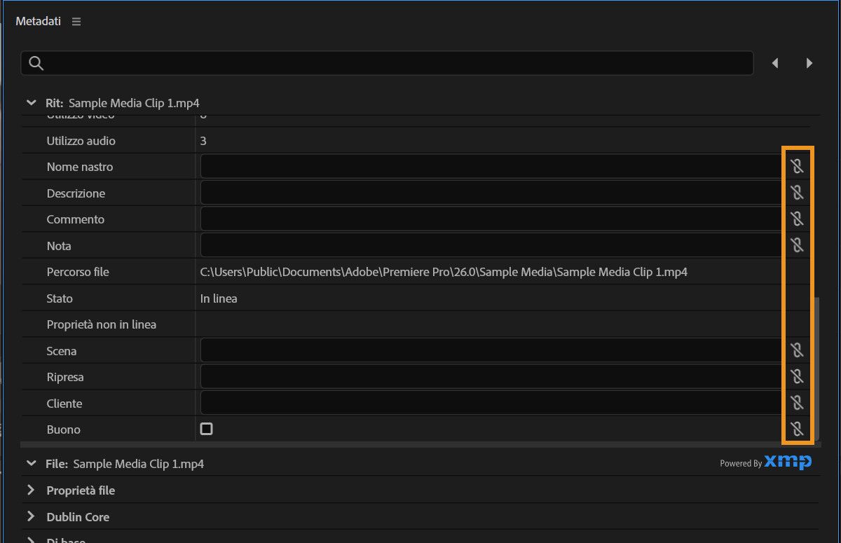 Pannello Metadati che mostra le icone di collegamento utilizzate per connettere i campi dati delle clip ai metadati XMP.