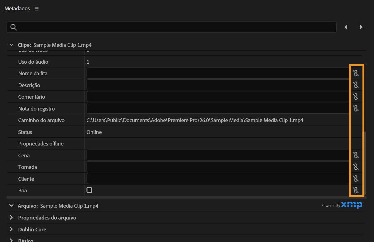 Painel Metadata mostrando ícones de vinculação usados para conectar campos de dados de clipe aos metadados XMP.