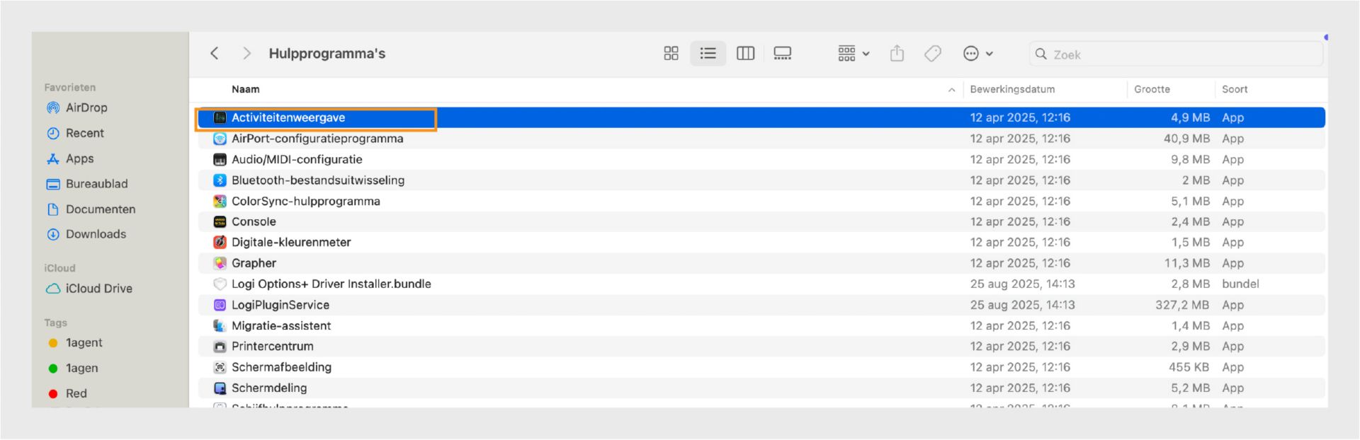 screenshot van de Activiteitenweergave-applicatie met een lijst van actieve processen, hun CPU-gebruik, geheugengebruik en andere systeemstatistieken.